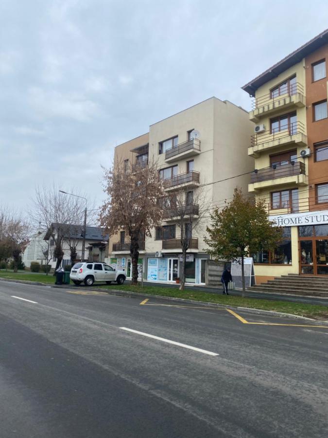 2Br Cosy Apart Satu Mare Exterior foto